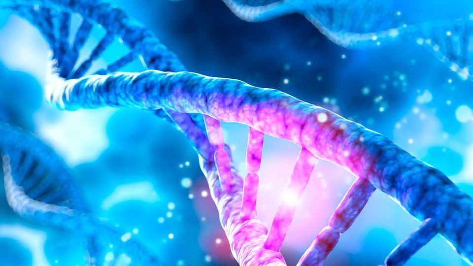 Reversing Cellular Solar Damage: How Photolyase DNA Repair Enzymes Restore Photoaged Skin