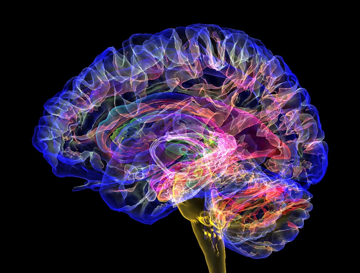 Calming the Brain-Skin Axis: How Palmitoyl Tripeptide-8 Neutralizes Neorogenic Inflammation and Stress-Flushing