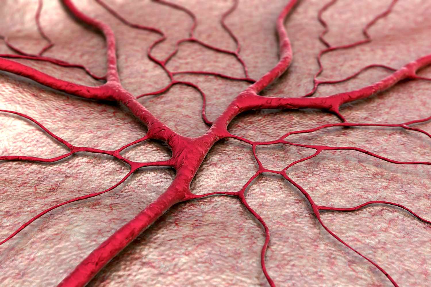 Intravascular Fortification: How Troxerutin and Escin Seal Capillary leaks to Clear Diffuse Facial Flushing