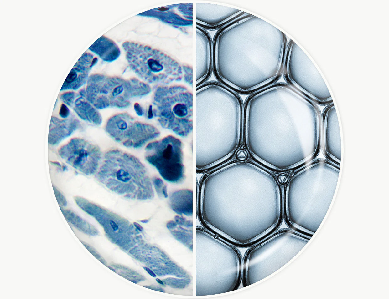 The Ultimate Shield: How Ectoin Calms Extreme Post-Treatment Skin Sensitivity