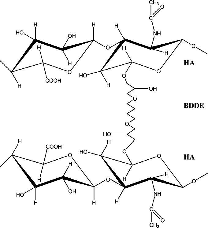 What is Crosslinked Hyaluronic Acid: The Scientific Mechanisms and Clinical Evidence