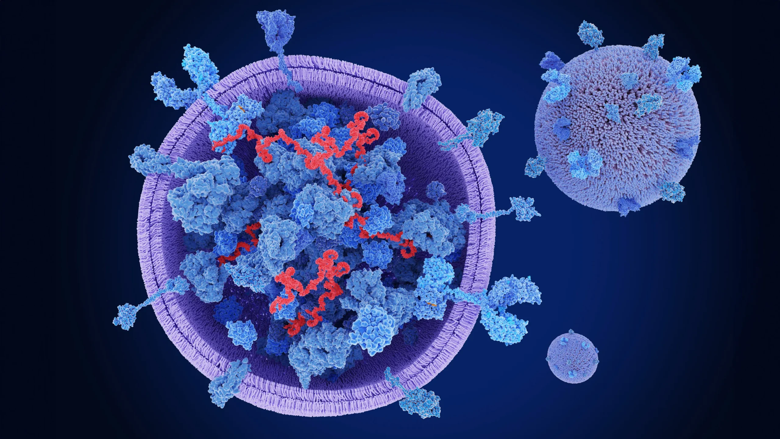 What are Botanical Exosomes: The Scientific Mechanisms and Clinical Evidence