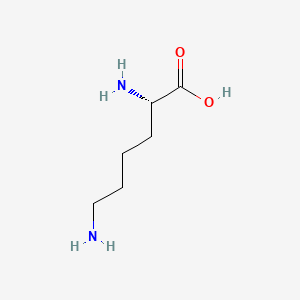 What is Lysine: Scientific Mechanisms and Clinical Evidence