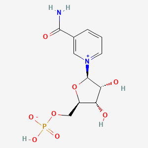 What is NMN: The Scientific Mechanisms and Clinical Evidence