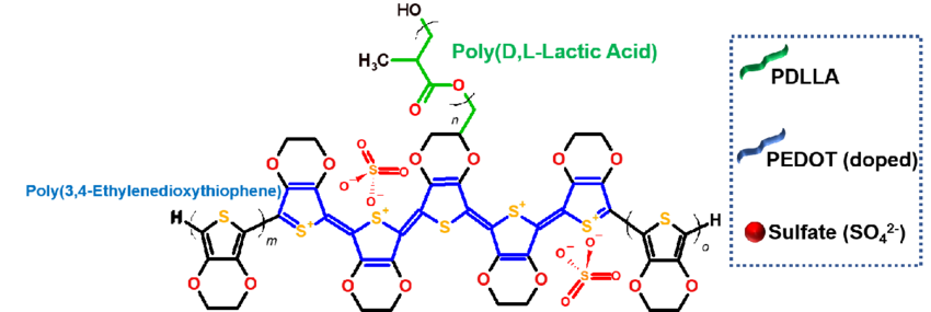 What is PDLLA: The Scientific Mechanisms and Clinical Evidence