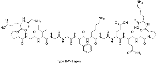 What is RH Collagen Type 1: The Scientific Mechanisms and Clinical Evidence
